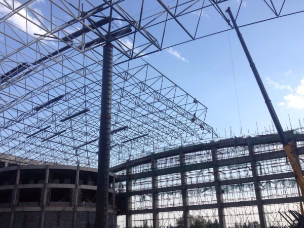 广水煤棚网架